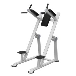 Aparato Para Gimnasio Torre Para Fondos Y Abdomen Serie ST