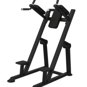 APARATO PARA GIMNASIO TORRE PARA FONDOS Y ABDOMEN SERIE ST